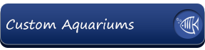 Custom Aquariums